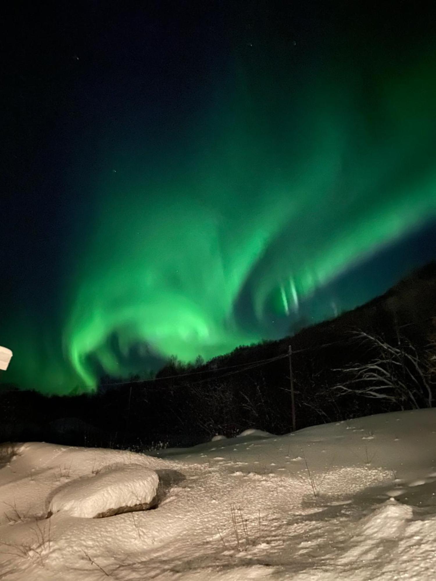 Sjarmerende Anneks I Sigerfjord, Vesteralen Sortland Exteriér fotografie